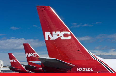 Three Northern Air Cargo airplane tails in a row.