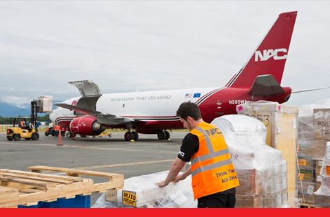 An employee sorting freight with a Northern Air Cargo plane in the background.