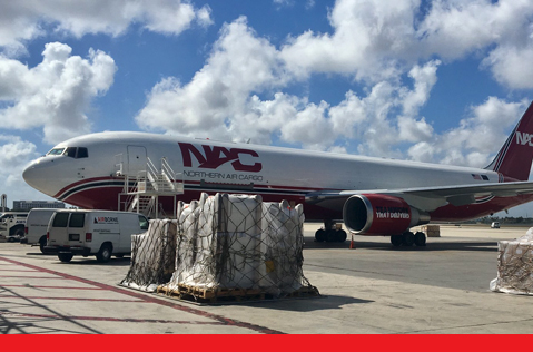 Cargo sitting in front of a Northern Air Cargo plane. 