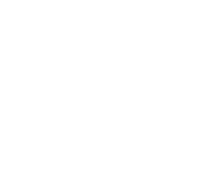 Reliable Fleet